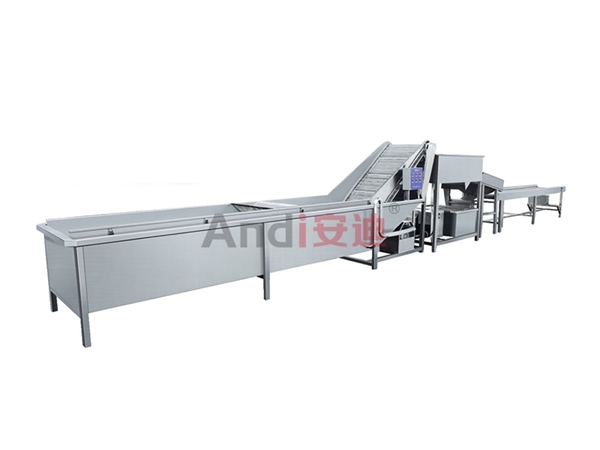 草莓清洗流水线